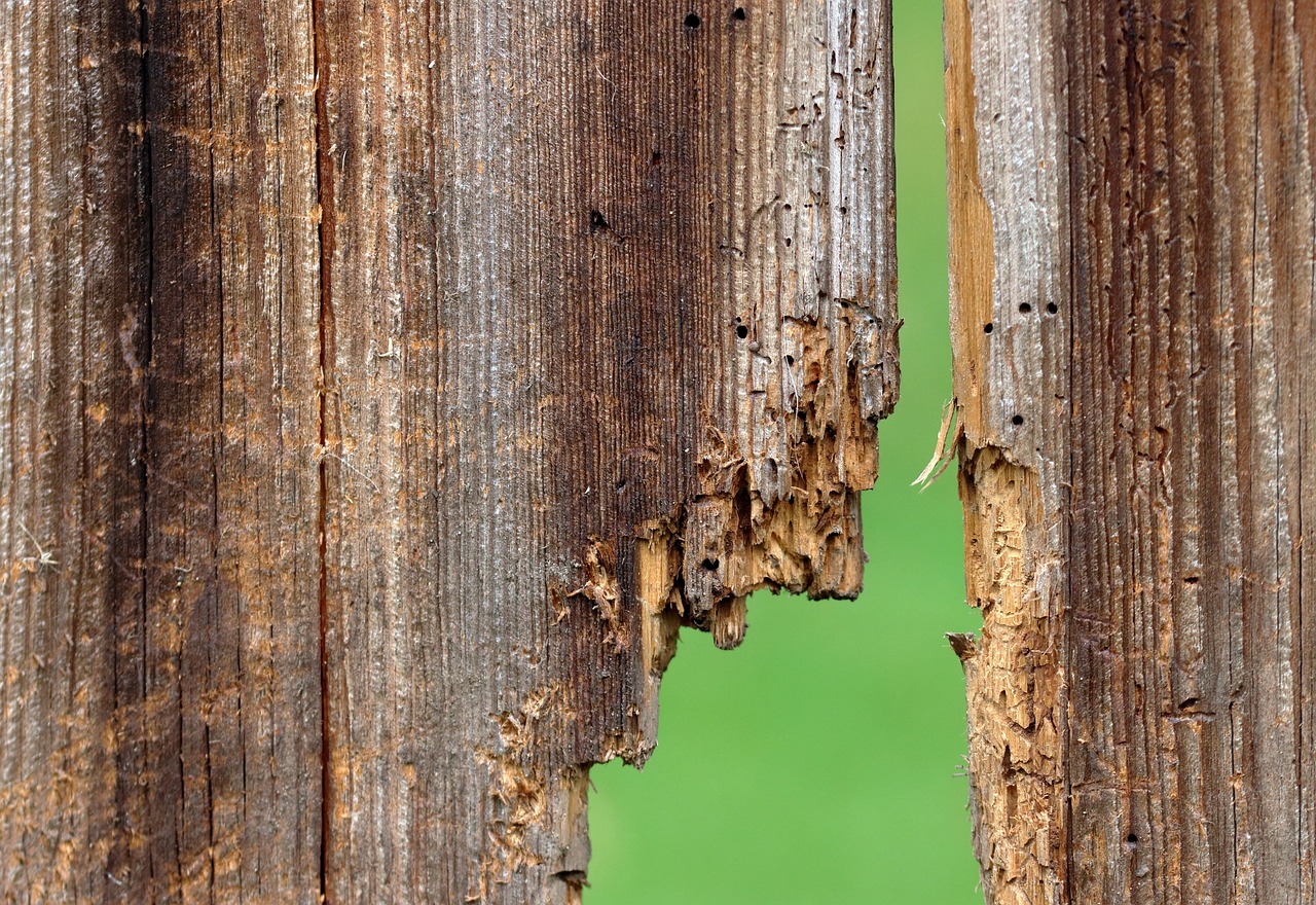Fence Repair