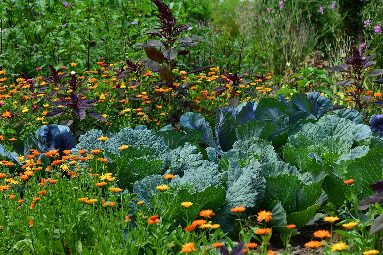 Vegetable & Flower Gardening