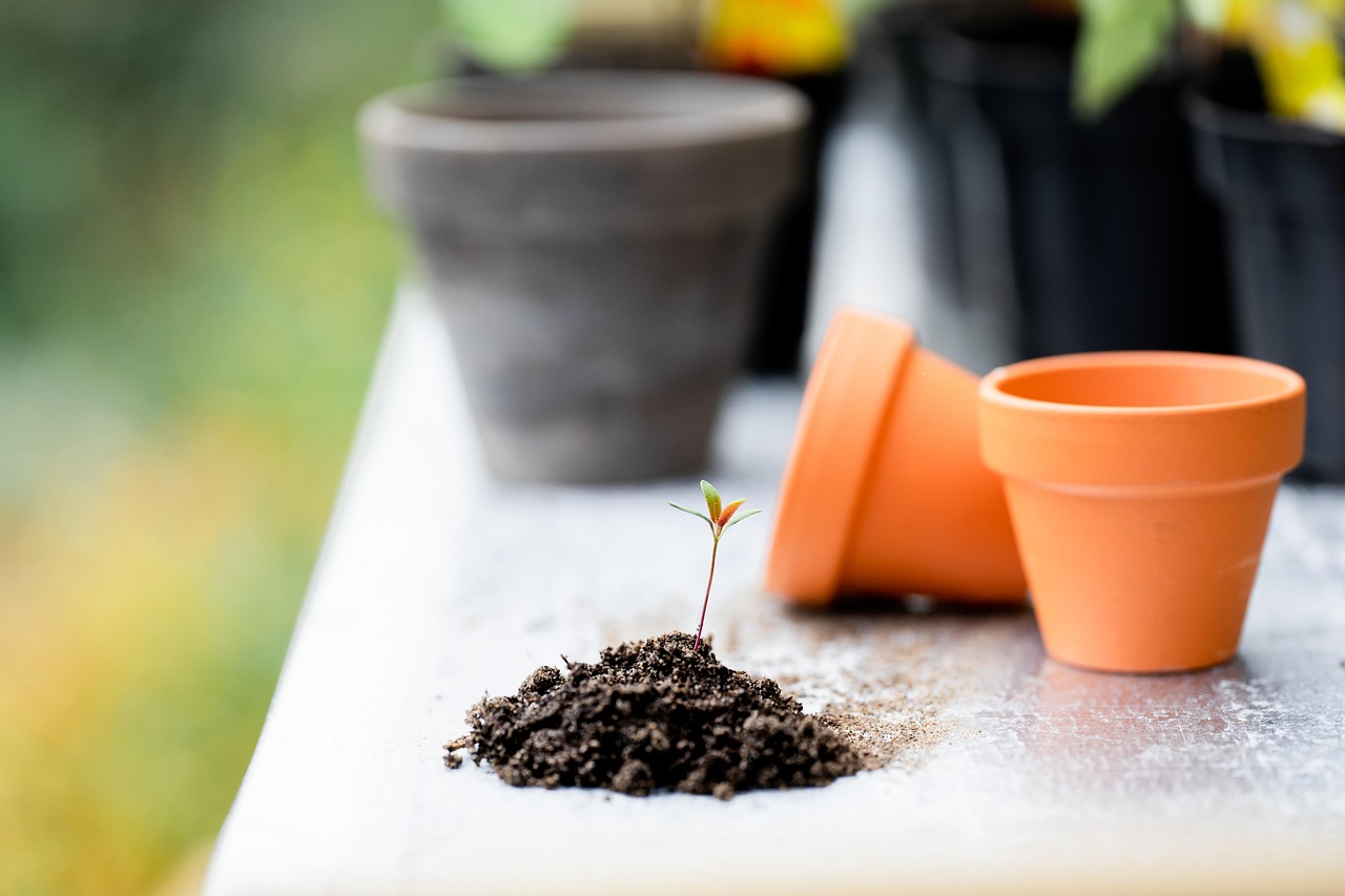 Plant Care & Composting